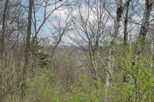 Wooded land for sale overlooking the Kickapoo River Valley
