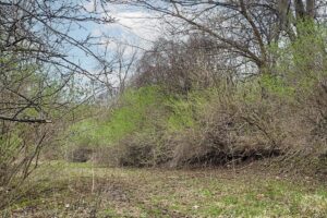 Wooded land for sale overlooking the Kickapoo River Valley