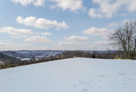 Wooded land with panoramic views for sale in Crawford County, WI