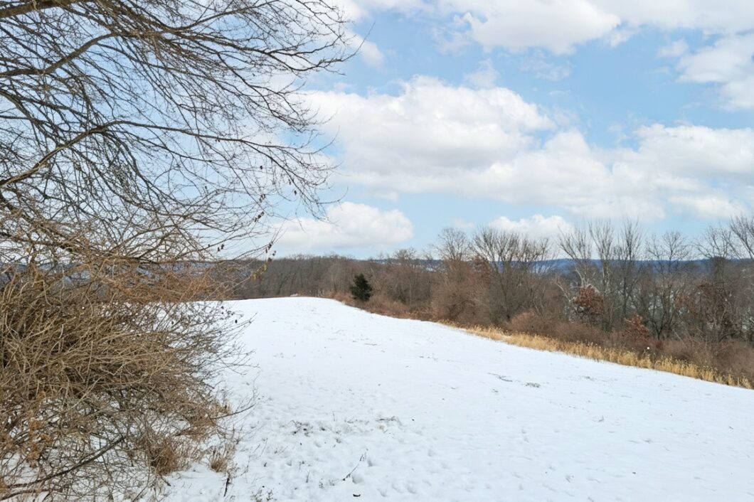 Driftless Region wooded land for sale near Gays Mills, WI