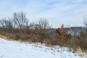 Driftless Region wooded land for sale near Gays Mills, WI