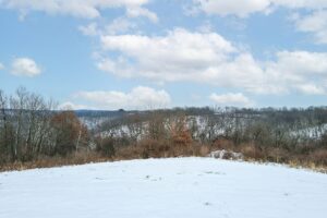 Driftless Region wooded land for sale near Gays Mills, WI