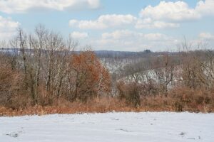 Driftless Region wooded land for sale near Gays Mills, WI