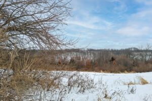 Driftless Region wooded land for sale near Gays Mills, WI