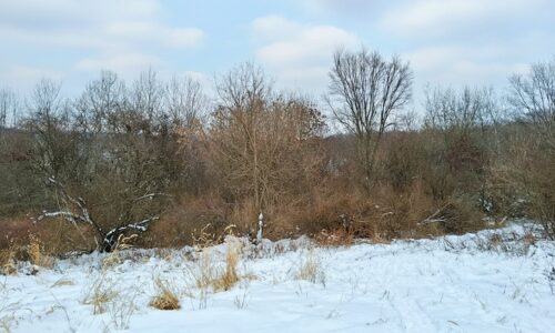 Wooded land for sale overlooking the Kickapoo River Valley