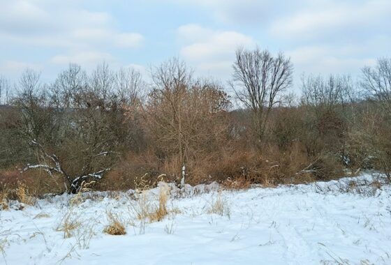 Wooded land for sale overlooking the Kickapoo River Valley