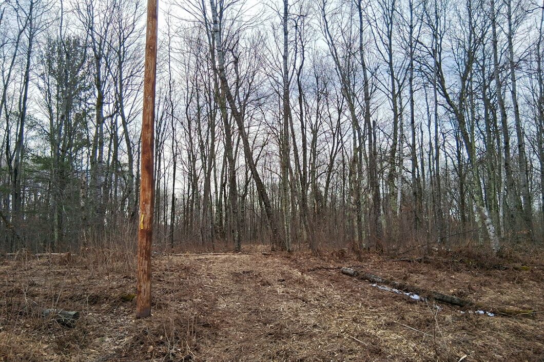 Wooded buildable land near the Namekagon River in Trego, Wisconsin with rolling terrain, utilities, and private forest setting