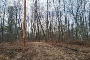 Wooded buildable land near the Namekagon River in Trego, Wisconsin with rolling terrain, utilities, and private forest setting