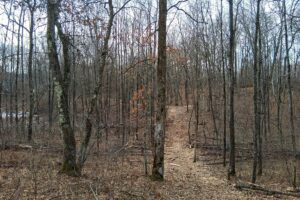 Wooded buildable land near the Namekagon River in Trego, Wisconsin with rolling terrain, utilities, and private forest setting