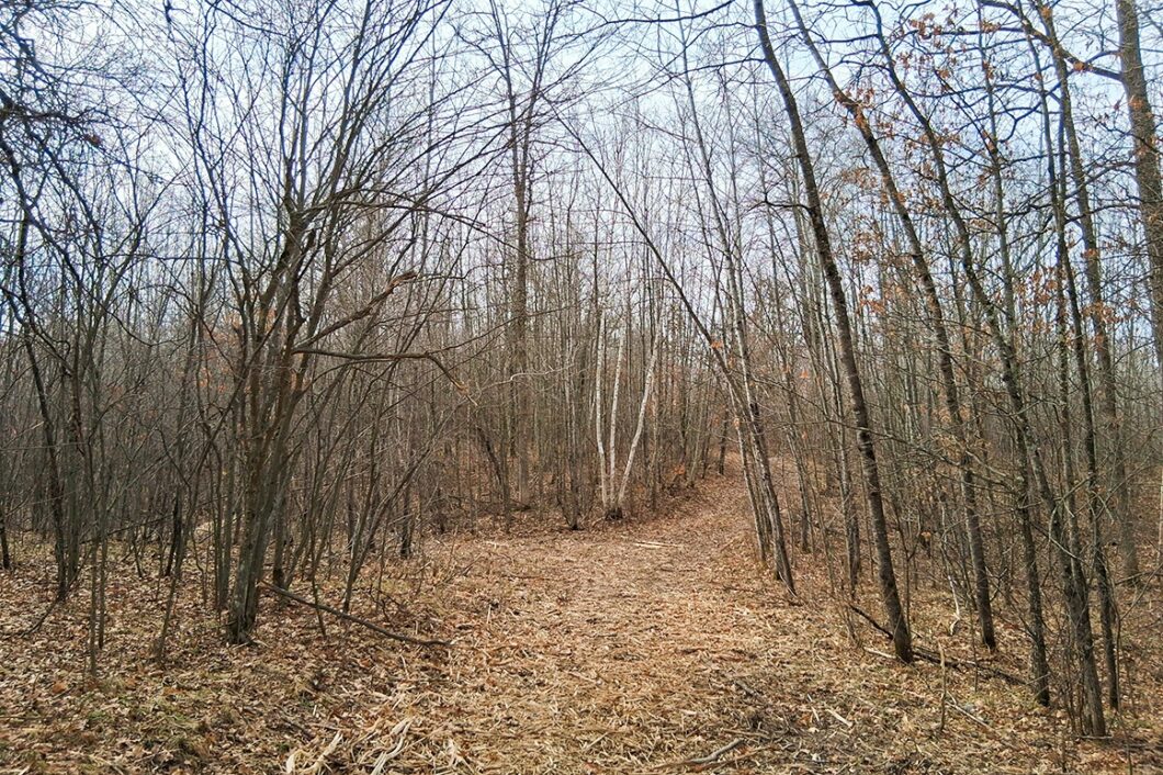 2+ acre buildable wooded land near Spooner, Wisconsin with electric, cleared trails, privacy, and access to the Namekagon River and public forest