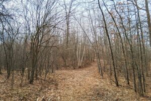 2+ acre buildable wooded land near Spooner, Wisconsin with electric, cleared trails, privacy, and access to the Namekagon River and public forest