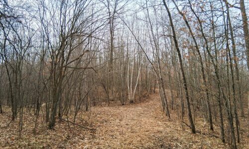 2+ acre buildable wooded land near Spooner, Wisconsin with electric, cleared trails, privacy, and access to the Namekagon River and public forest