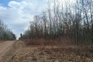 2+ acre buildable wooded land near Spooner, Wisconsin with electric, cleared trails, privacy, and access to the Namekagon River and public forest