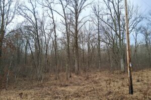 2+ acre buildable wooded land near Spooner, Wisconsin with electric, cleared trails, privacy, and access to the Namekagon River and public forest