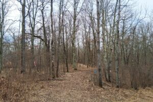 2+ acre buildable wooded land near Spooner, Wisconsin with electric, cleared trails, privacy, and access to the Namekagon River and public forest