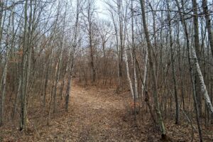 2+ acre buildable wooded land near Spooner, Wisconsin with electric, cleared trails, privacy, and access to the Namekagon River and public forest