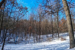 Nearly 9-acre wooded land adjoining National Forest in Trego Township, Wisconsin with rolling terrain, trails, and abundant wildlife
