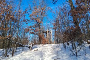 Nearly 9-acre wooded land adjoining National Forest in Trego Township, Wisconsin with rolling terrain, trails, and abundant wildlife