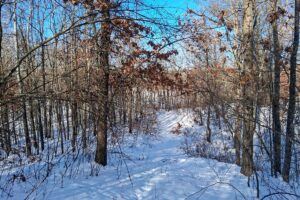 Nearly 9-acre wooded land adjoining National Forest in Trego Township, Wisconsin with rolling terrain, trails, and abundant wildlife