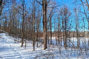 Nearly 9-acre wooded land adjoining National Forest in Trego Township, Wisconsin with rolling terrain, trails, and abundant wildlife