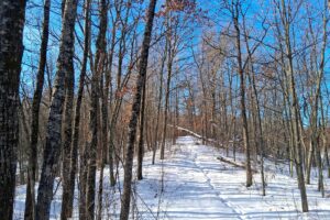 Nearly 9-acre wooded land adjoining National Forest in Trego Township, Wisconsin with rolling terrain, trails, and abundant wildlife
