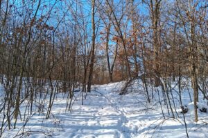 Nearly 9-acre wooded land adjoining National Forest in Trego Township, Wisconsin with rolling terrain, trails, and abundant wildlife