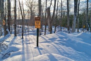 11-acre wooded property near Fishtrap Lake and Chippewa Flowage in Sawyer County, WI with rolling terrain, wildlife, and access to National Forest