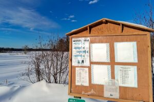Wooded buildable property near Chippewa Flowage, Winter, WI with road access, cleared trail, and nearby public forest for hunting and recreation