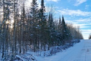 Wooded buildable property near Chippewa Flowage, Winter, WI with road access, cleared trail, and nearby public forest for hunting and recreation