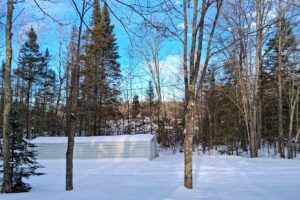 4.2-acre wooded property with 2-bedroom cabin near Fishtrap Lake in Sawyer County, WI, offering privacy, lake access, and Northwoods recreation