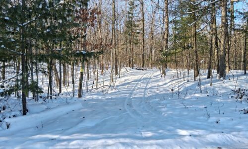 : Buildable 1.9-acre wooded property for sale near Winter, WI. Features 600ft of National Forest border.