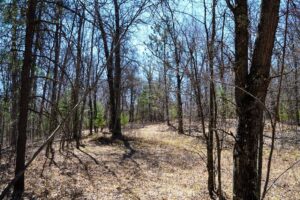 Buildable 1.9-acre wooded property for sale near Winter, WI. Features 600ft of National Forest border.