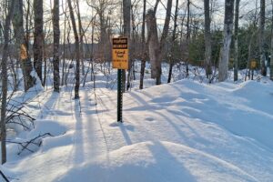 7.3-acre wooded property for sale near Winter, WI. Adjoins National Forest on two sides.