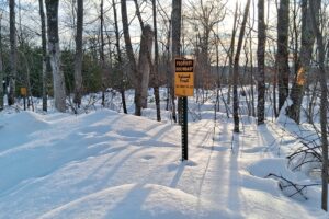 Buildable 7.73-acre wooded parcel for sale near Winter, WI. Directly adjoins National Forest.