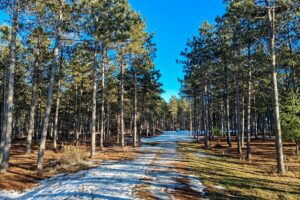 Buildable, improved land for sale near Lake Petenwell in Central Wisconsin