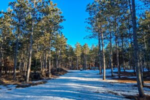 Buildable, improved land for sale near Lake Petenwell in Central Wisconsin