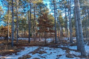 Buildable, improved land for sale near Lake Petenwell in Central Wisconsin