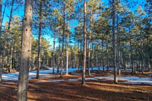 Buildable, improved land for sale near Lake Petenwell in Central Wisconsin
