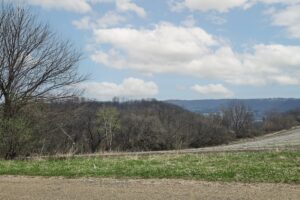 Buildable wooded land for sale in Southern Wisconsin Driftless Region
