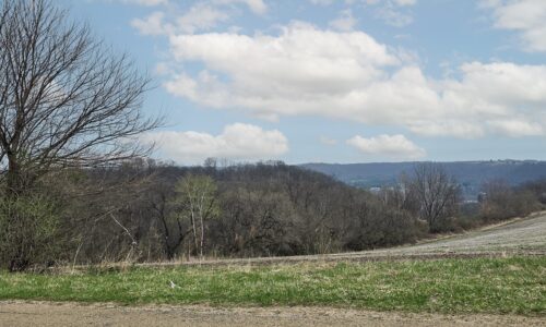 Buildable wooded land for sale in Southern Wisconsin Driftless Region