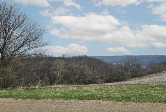 Buildable wooded land for sale in Southern Wisconsin Driftless Region