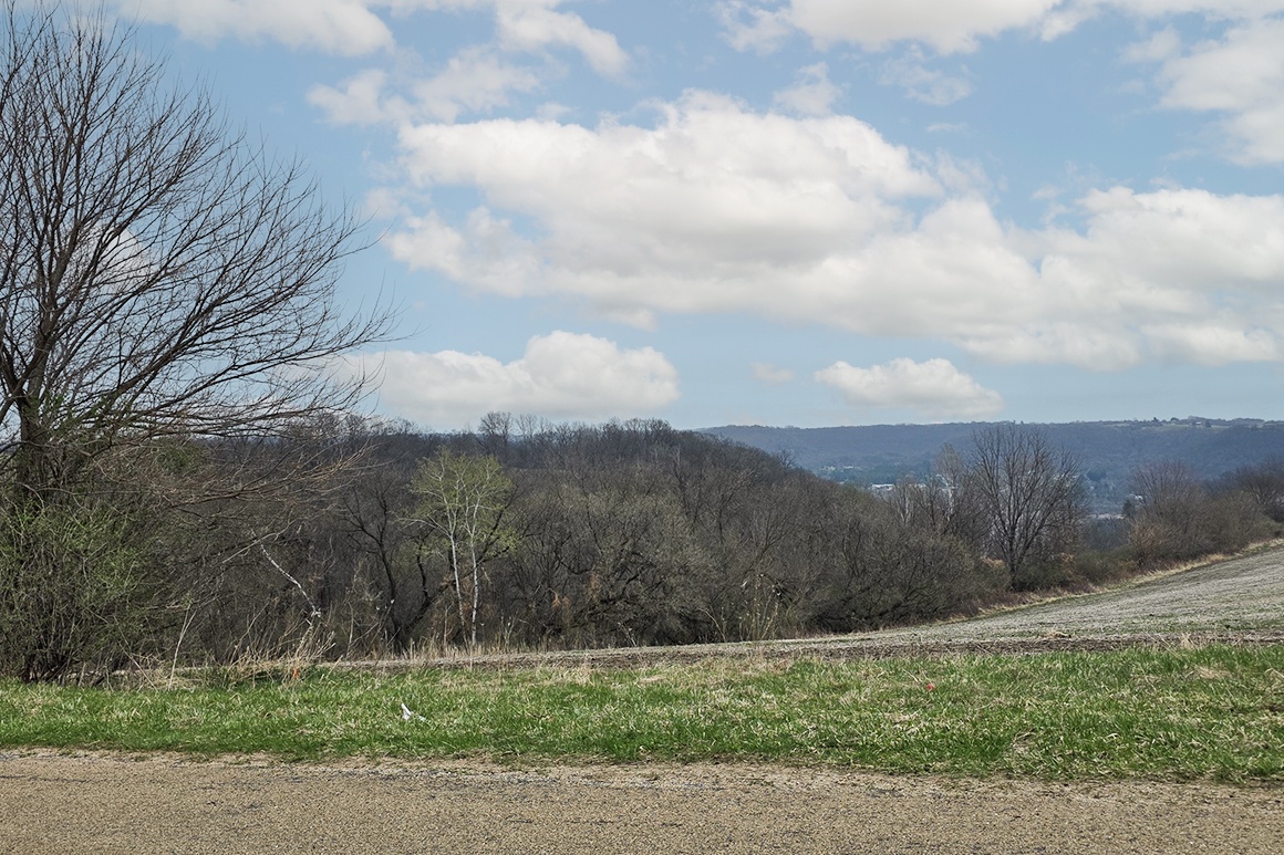 Buildable wooded land for sale in Southern Wisconsin Driftless Region