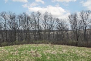 Buildable wooded land for sale in Southern Wisconsin Driftless Region