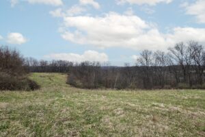 Buildable wooded land for sale in Southern Wisconsin Driftless Region