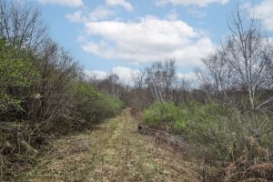 Buildable wooded land for sale in Southern Wisconsin Driftless Region