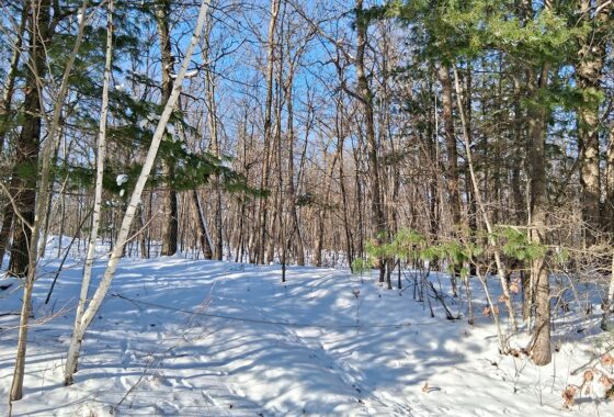 Nearly 2 Acres Recreational Land For Sale in Sawyer County