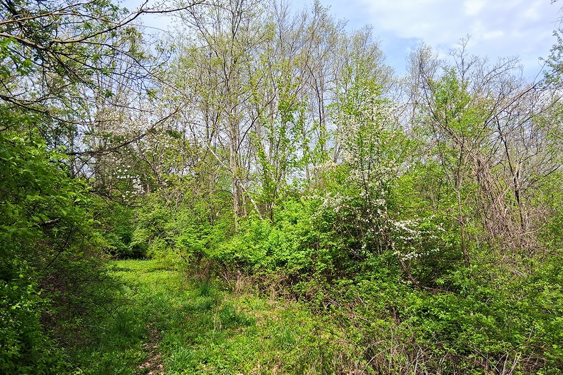 Southwest WI Land in Driftless Region!