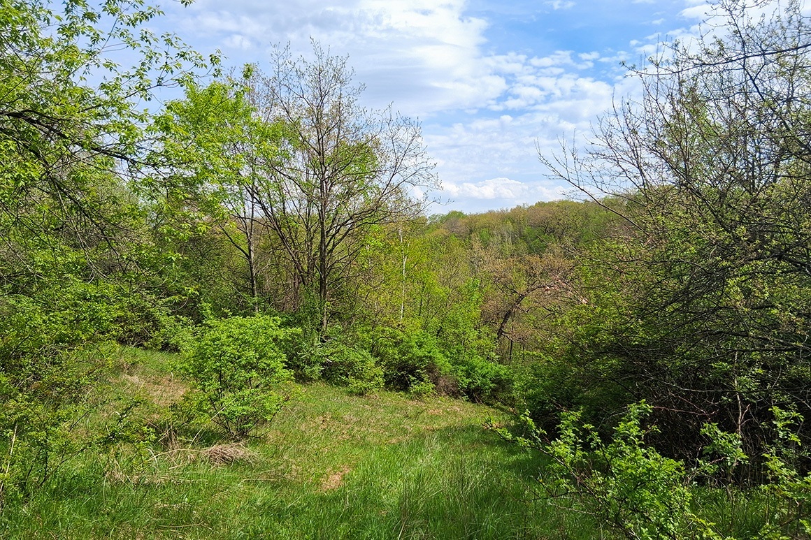 Southwest WI Land in Driftless Region!