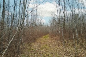 Northern Wisconsin land for sale near Lake Nokomis.