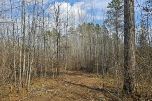 Northern Wisconsin land for sale near Lake Nokomis.